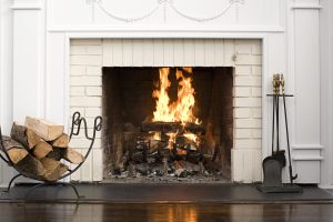 Read more about the article Woods to Avoid Burning in Your Fireplace