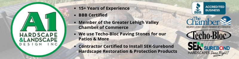 The Process of Paver Restoration & Why You Need It 2