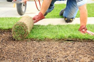 Read more about the article Sod Installations: Why You Should Consider It?