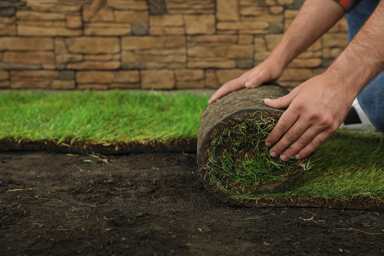 <a href="https://a1hardscape.com/services/#sod" class="service-btn">Learn More</a>