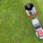 Why DIY Lawn Care Can Be Damaging