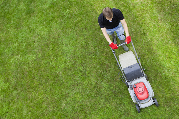 Read more about the article Why DIY Lawn Care Can Be Damaging