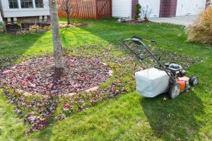 Read more about the article Prepare Your Lawn for Winter